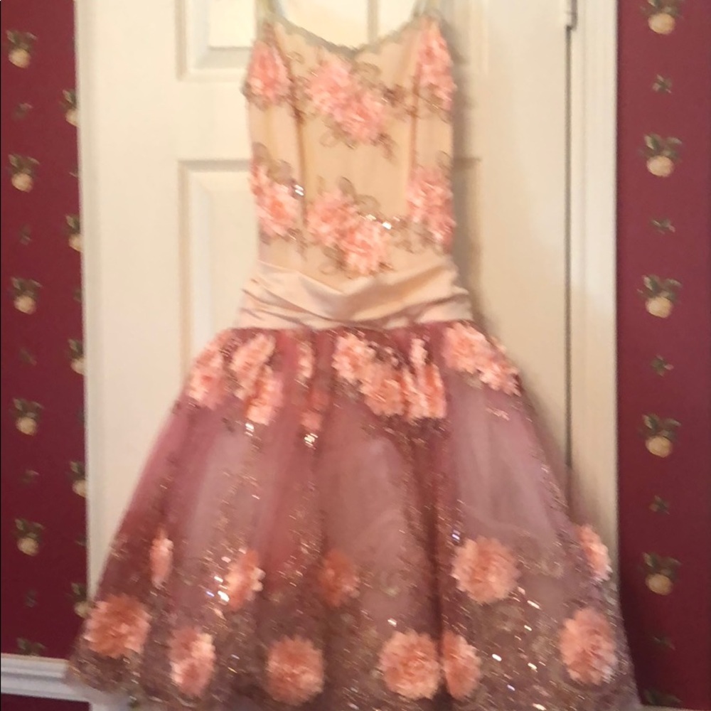 Full tulle ballet dance costume